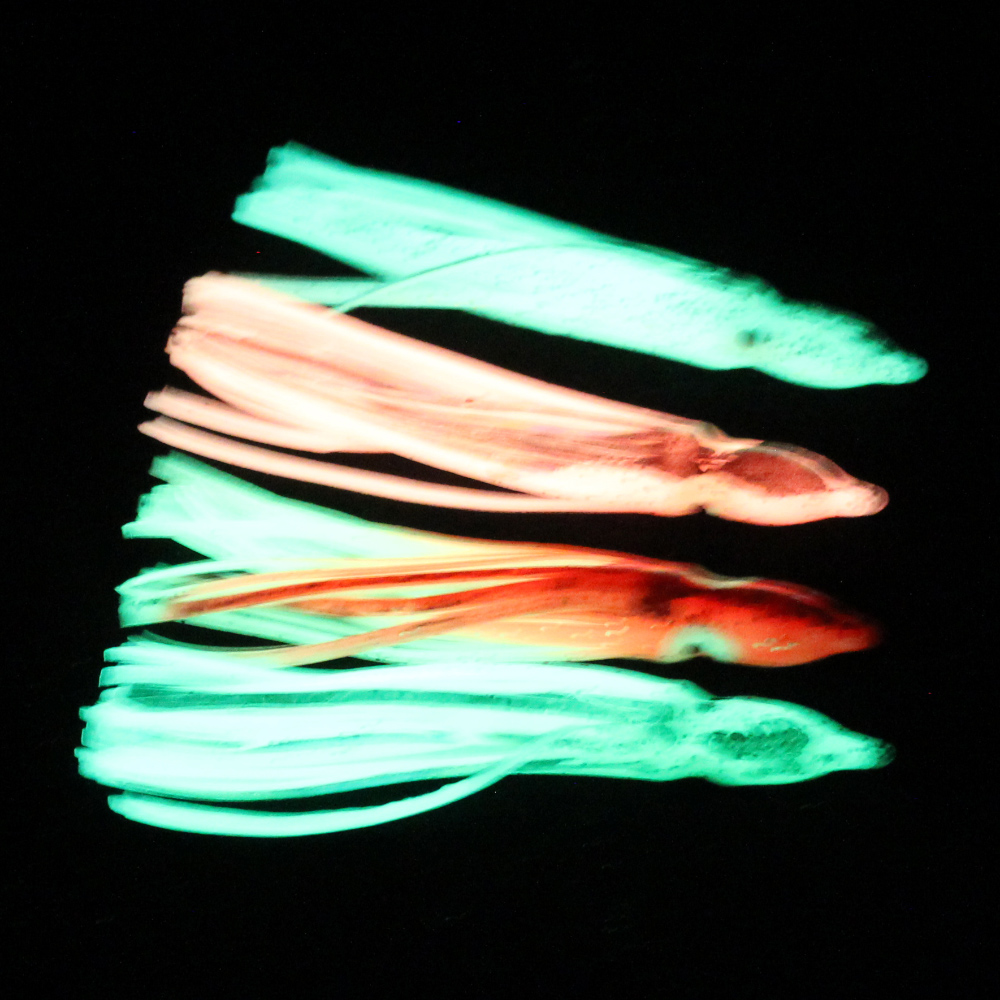 10 pcs soft light octopus squi - Fishing Lure Buzzbait recensie en prijs