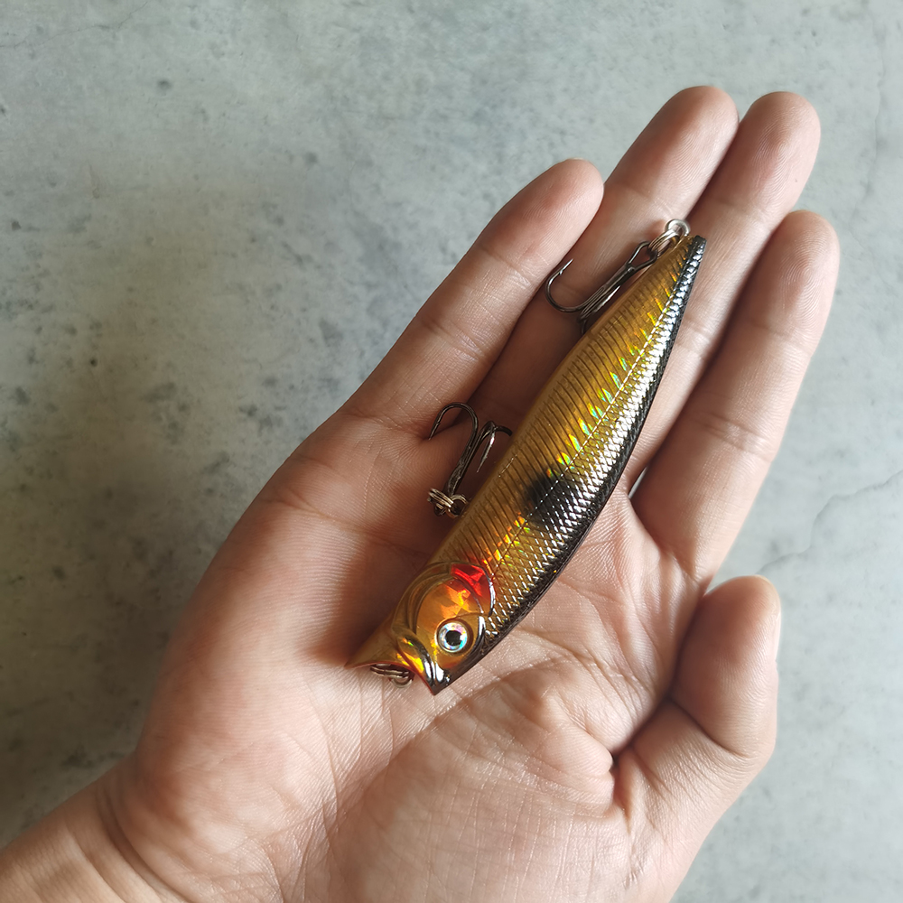1pcs Fishing Lures High Qualit - Fishing Lure Popper recensie en prijs